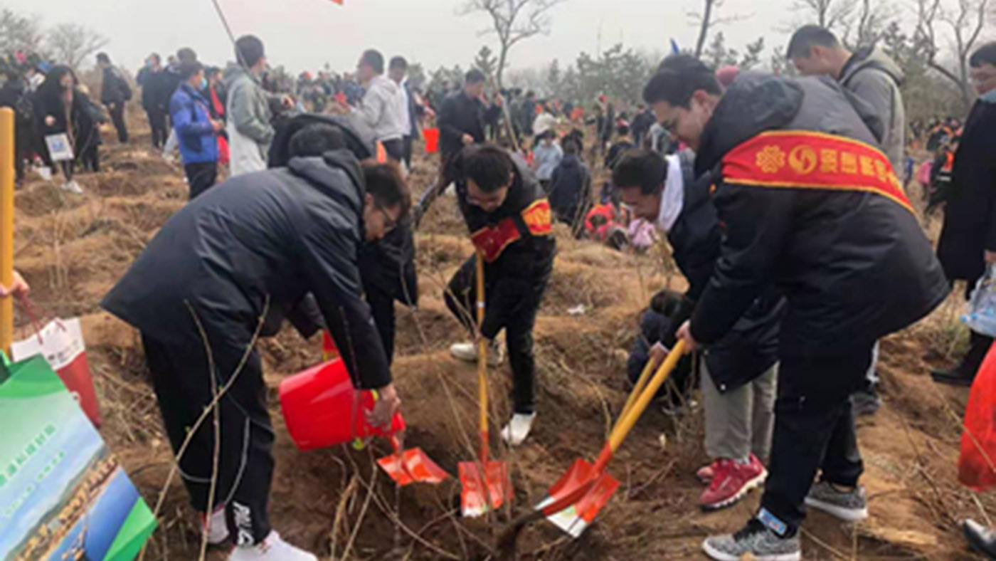 集團(tuán)團(tuán)委組織青年志愿者參加團(tuán)市委組織的“青春匯綠 美麗煙臺(tái)”植樹活動(dòng)